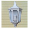 Ecliarage extérieur aluminium et globe verre IP65 355x195mm 60W E27 couleur blanc