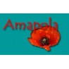 RONDELLE COLLE EN ACIER INOXYDABLE 4,8 x 10 x 3 MM
